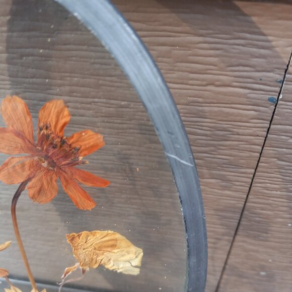 Vintage Dried Pressed Flowers Wall Art Oval Glass Framed - Picture 5 of 13